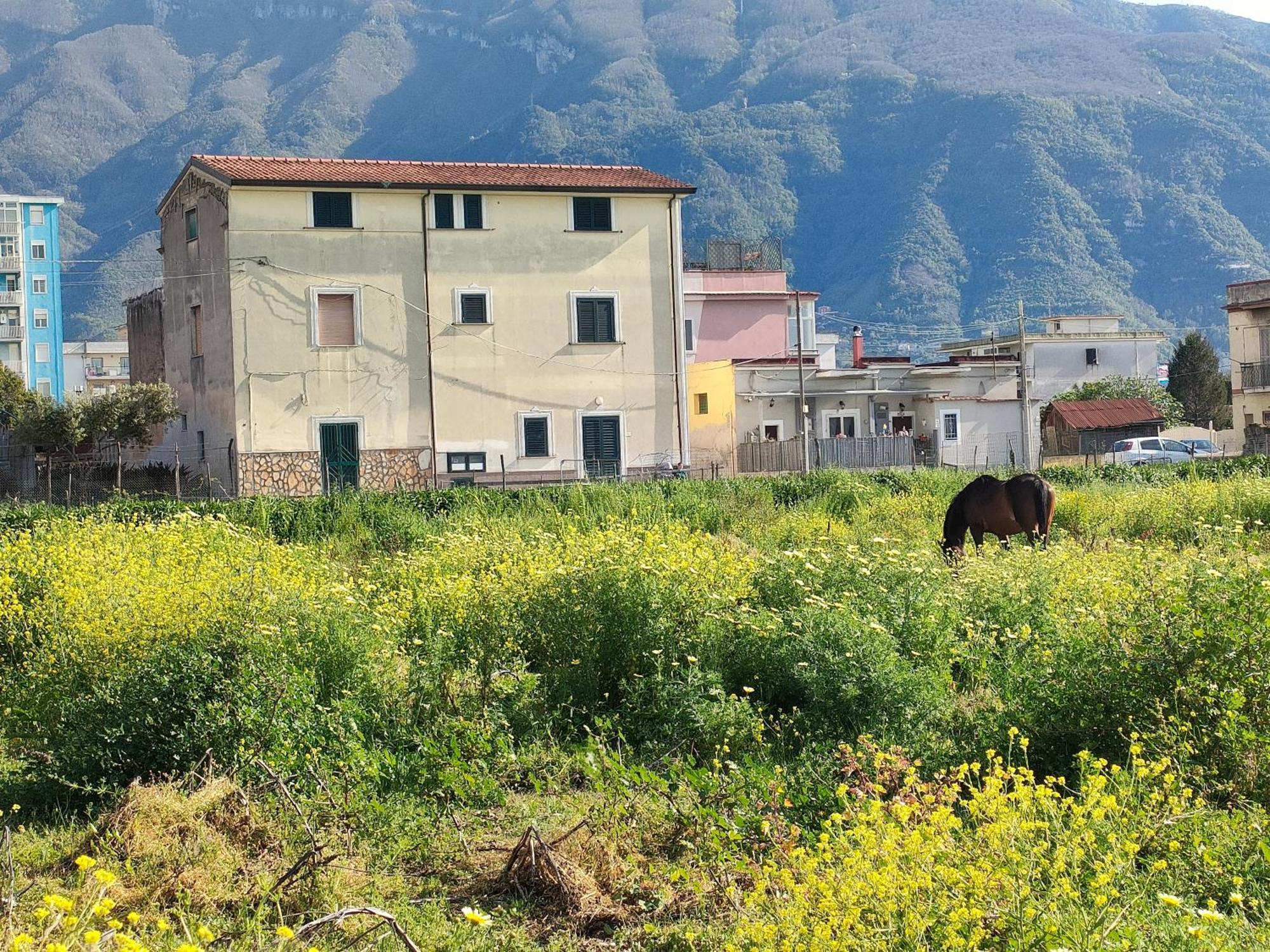 Lilla Housing Apartman Castellammare di Stabia Kültér fotó