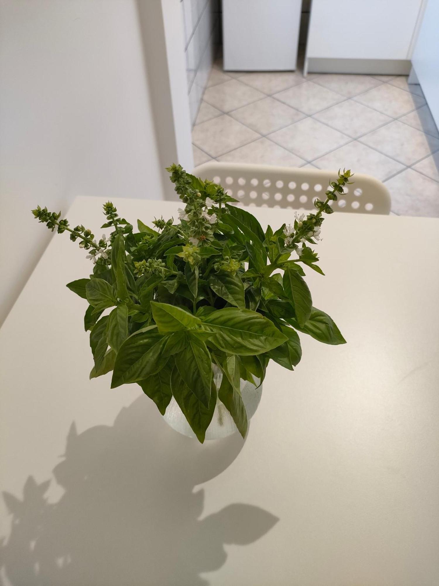Lilla Housing Apartman Castellammare di Stabia Kültér fotó